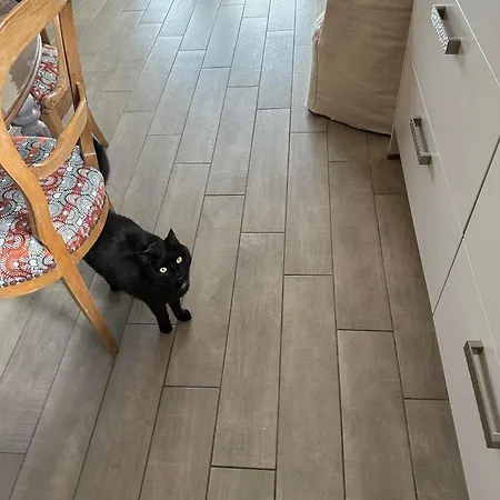 Séjour chez l'habitant Bienvenue Chez Eve En Bourgogne Beaune (Cote d'Or)