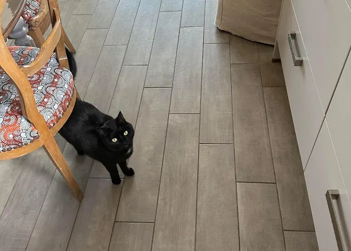 Homestay Bienvenue Chez Eve En Bourgogne Beaune (Cote d'Or)