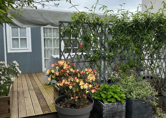 Bienvenue Chez Eve En Bourgogne